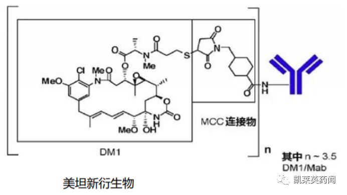 万字长文！ADC烽烟四起，III期临床群雄逐鹿：老牌玩家的“内”与“外”；HER2靶点之争；新靶点“三剑客”，创新不止于靶点