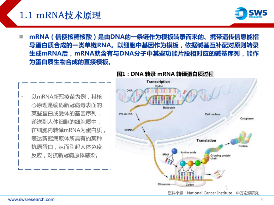 mRNA行业深度报告：乘势而起，时代新秀