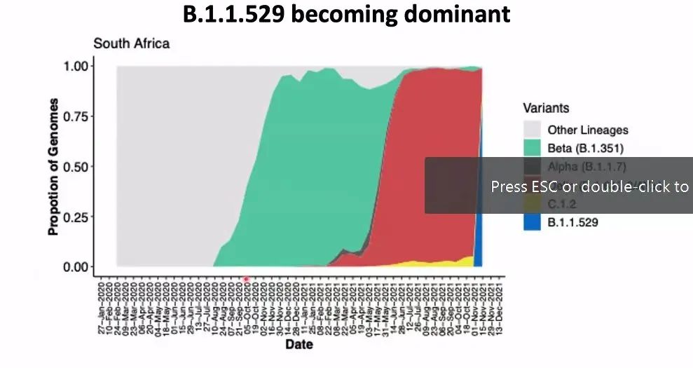 最强新冠突变体B.1.1.529让各国高度关注，股市下跌，美国、欧盟实施飞行禁令，世卫组织开始密切跟踪