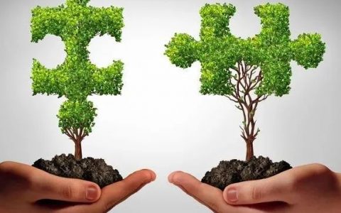 同台打擂！CD19靶点集CAR-T、双抗、单抗、ADC四路“开花”