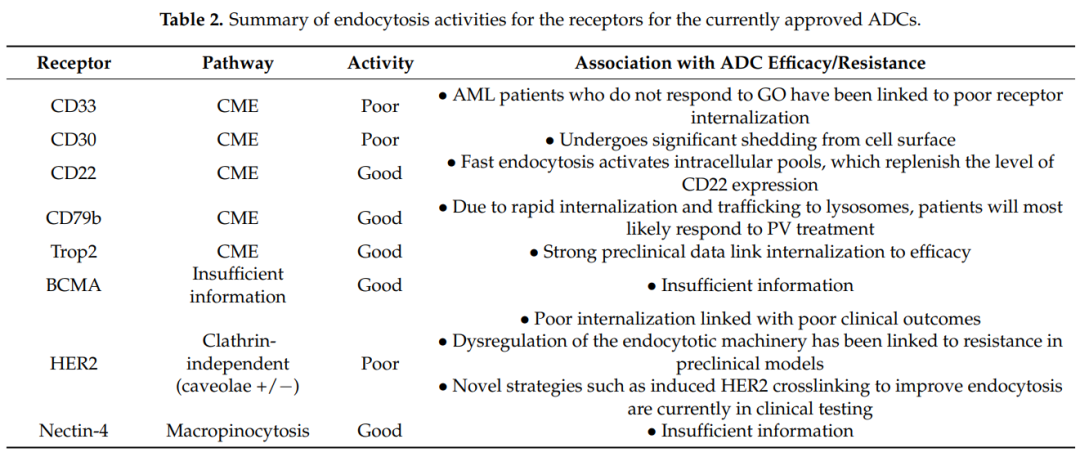 收藏！ADC全景概况（payload，linker，conjugate和Endocytosis）