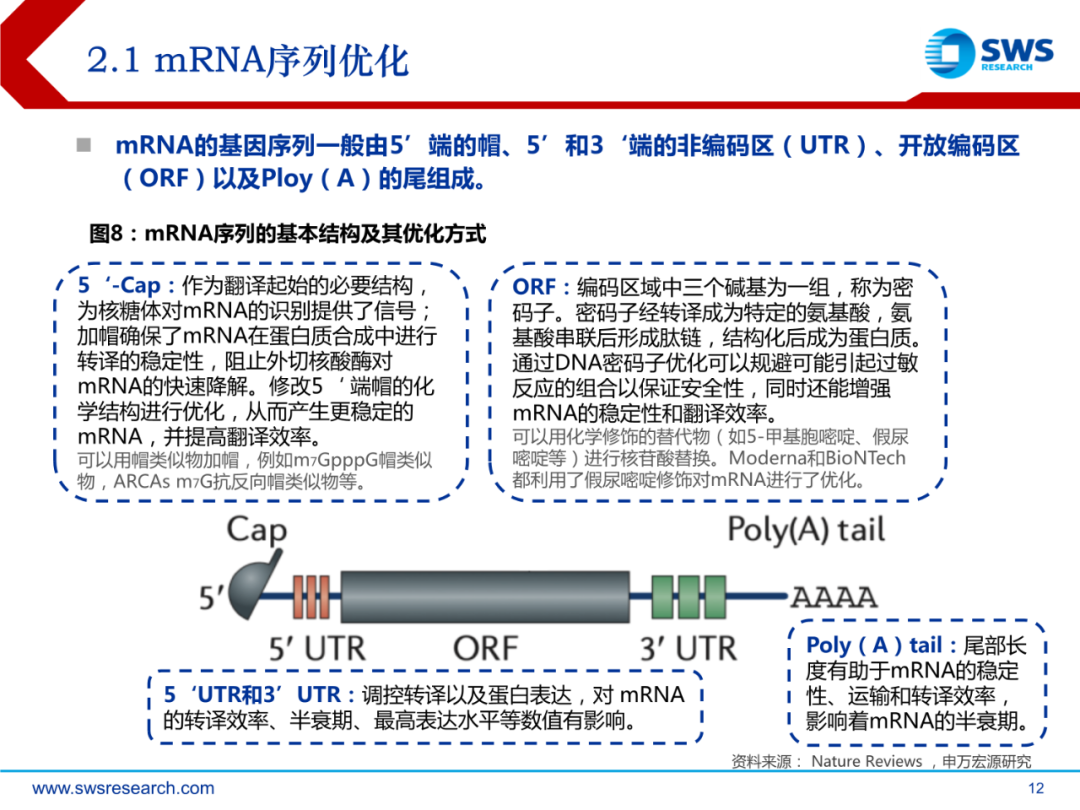 mRNA行业深度报告：乘势而起，时代新秀