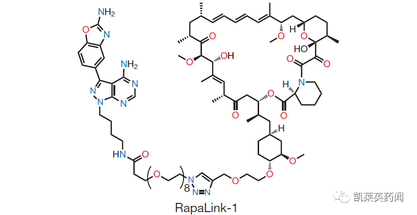 mTOR靶点的老药和新面孔