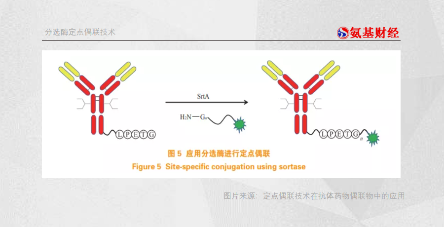 不容忽视的“连接技术”：ADC竞争的最后一公里