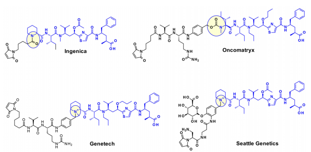 收藏！ADC全景概况（payload，linker，conjugate和Endocytosis）