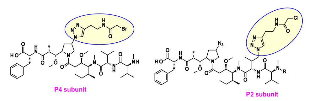 收藏！ADC全景概况（payload，linker，conjugate和Endocytosis）