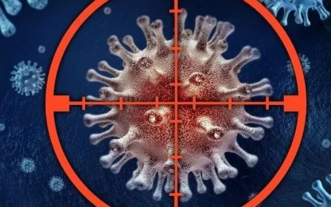 PNAS|新冠病毒的快速突变，结果好坏难预测