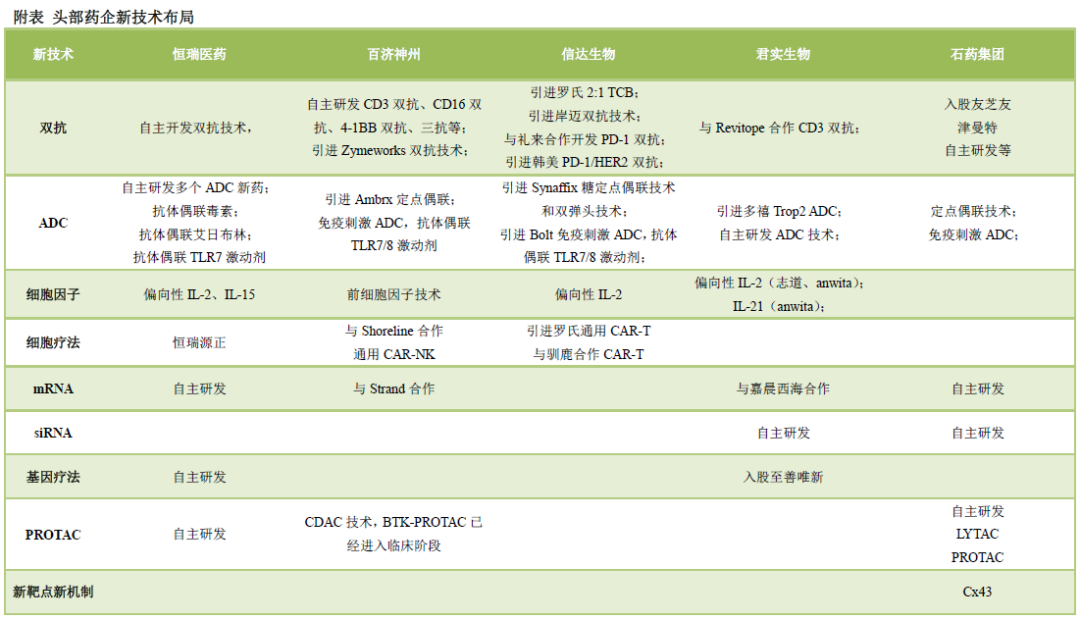 国内大分子新药研发格局