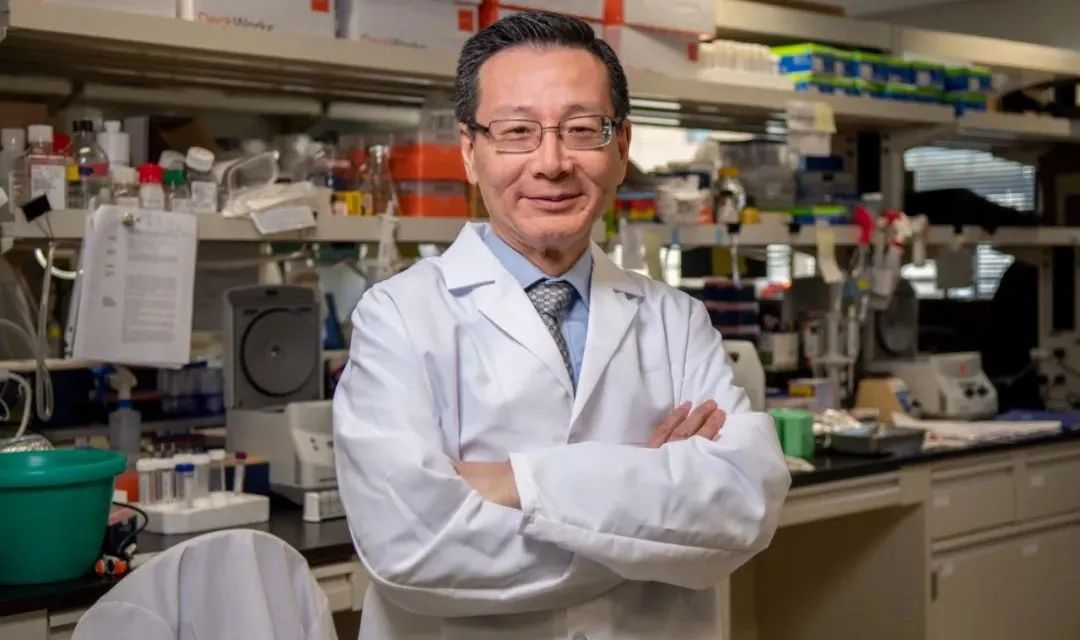 Nature：华人团队发现最凶险乳腺癌的“帮凶”，打掉它就能攻入肿瘤内部