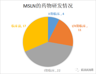 聚焦药靶：实体瘤“明星靶点”MSLN的最新研究进展