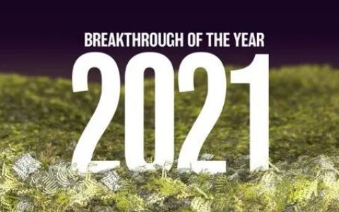 最新！《科学》杂志公布10大年度突破，AI预测蛋白结构为首要发现