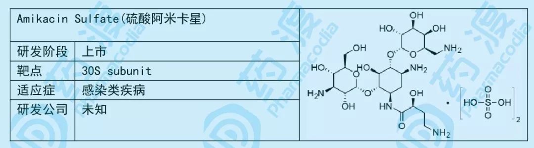 小小糖类，大大作为——谈糖类在化学药中的应用