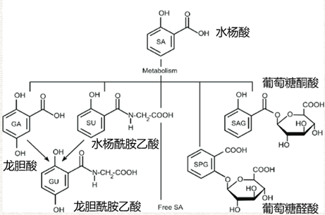 “神药”阿司匹林的前世今生