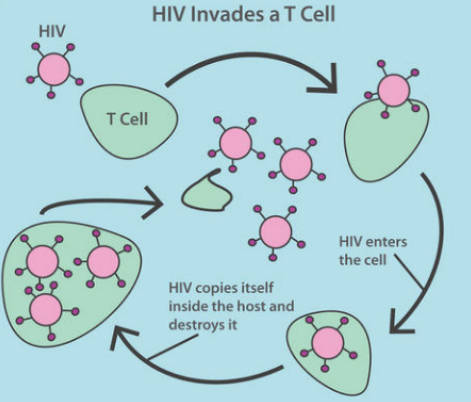 传奇的励志故事：他是医生，也是HIV病毒携带者，以及丙肝、血友病患者