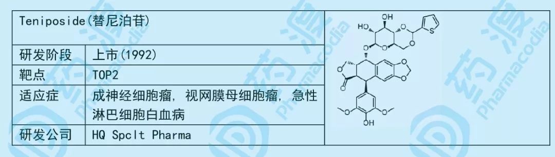 小小糖类，大大作为——谈糖类在化学药中的应用