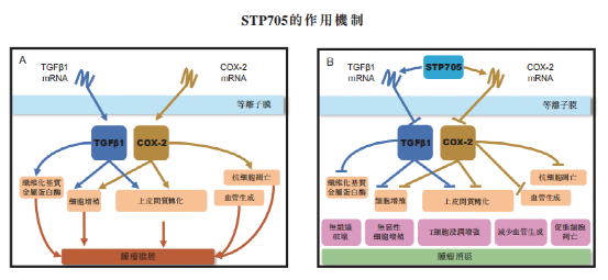 全球RNAi药物临床进展合集 | 哪些精彩值得期待？