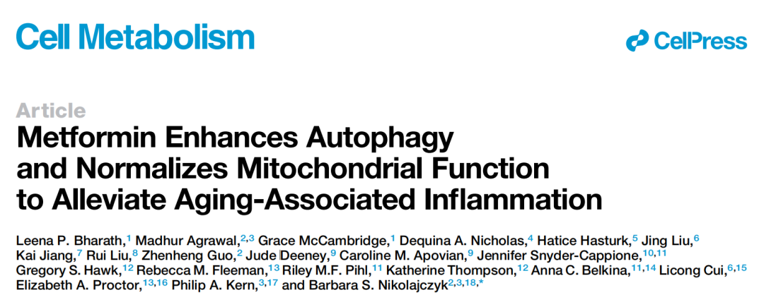 二甲双胍的抗衰老机制：增强自噬和线粒体功能，减轻年龄相关炎症