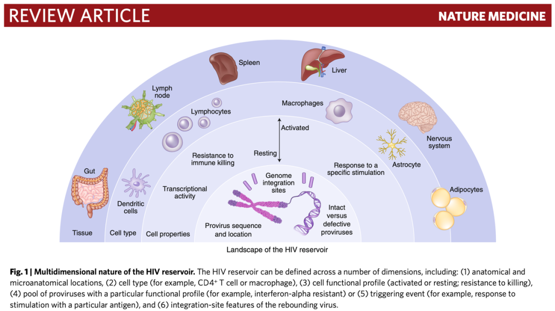 Nature Medicine重磅! 2021版艾滋病诊疗十年解读！