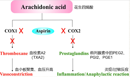 “神药”阿司匹林的前世今生