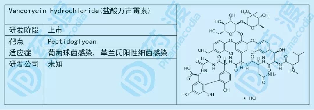 小小糖类，大大作为——谈糖类在化学药中的应用