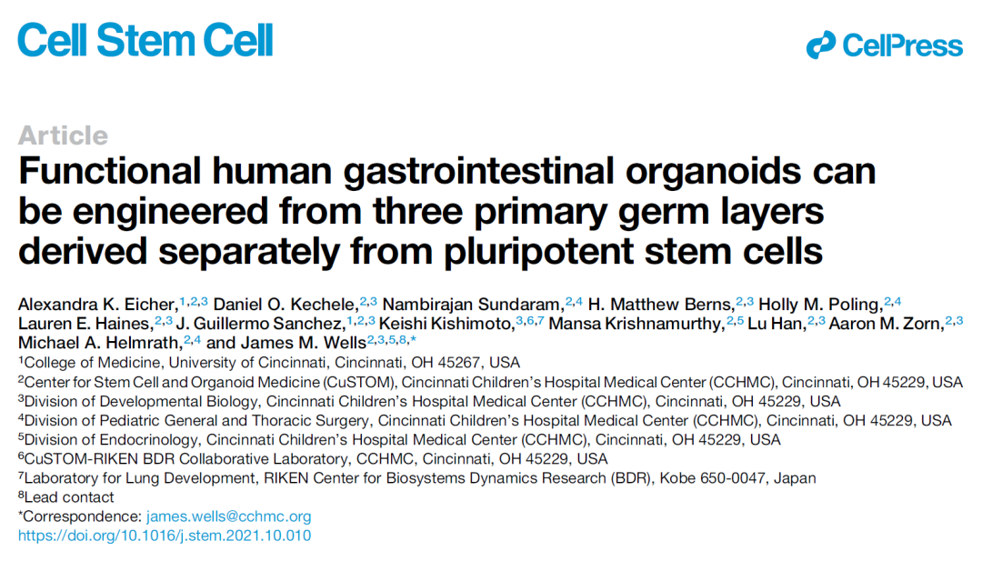 Cell子刊：迄今最复杂的胃类器官诞生