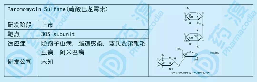 小小糖类，大大作为——谈糖类在化学药中的应用