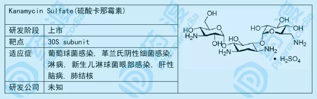 小小糖类，大大作为——谈糖类在化学药中的应用