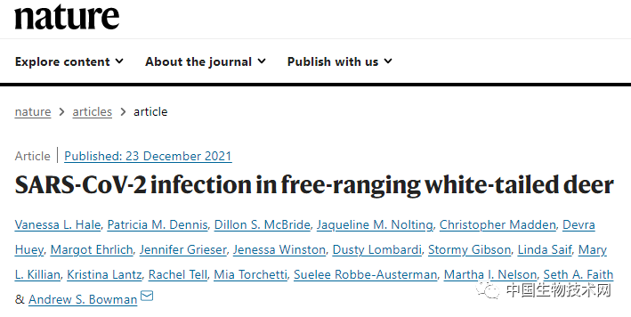 Nature重磅：美国野生白尾鹿已携带三种新冠变异株，其中一种与人类中流行的密切相关