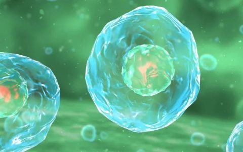 Nature重磅：美国野生白尾鹿已携带三种新冠变异株，其中一种与人类中流行的密切相关