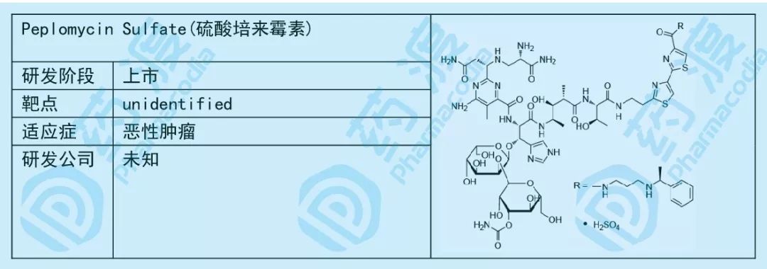 小小糖类，大大作为——谈糖类在化学药中的应用