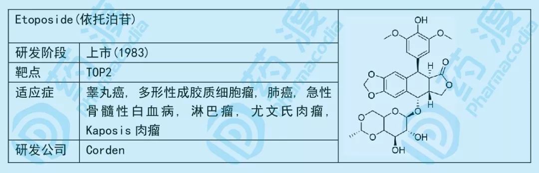 小小糖类，大大作为——谈糖类在化学药中的应用