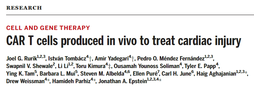 Science重磅：注射mRNA，直接在体内生成CAR-T，一针修复心脏
