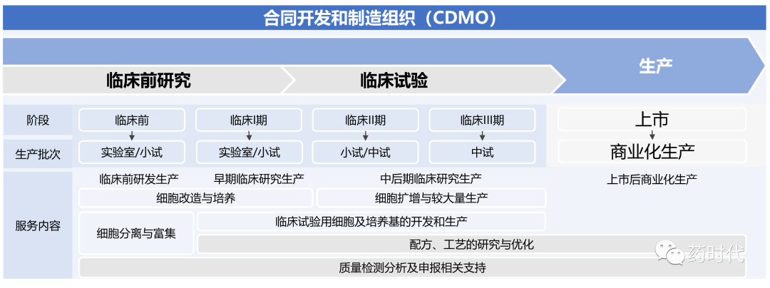 细胞治疗CDMO——CXO的新兴细分赛道，细胞治疗大时代的蓝海