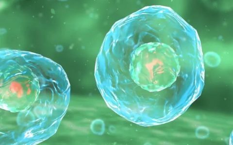 是时候按下“取消键”了！新研究表明，“细胞死亡”并非不可逆