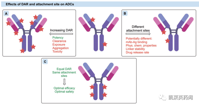同质化ADC药物制造，选择性位点修饰策略