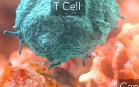 ​这种5年生存率不到10%的实体肿瘤，生存期有望翻倍！免疫疗法新进展