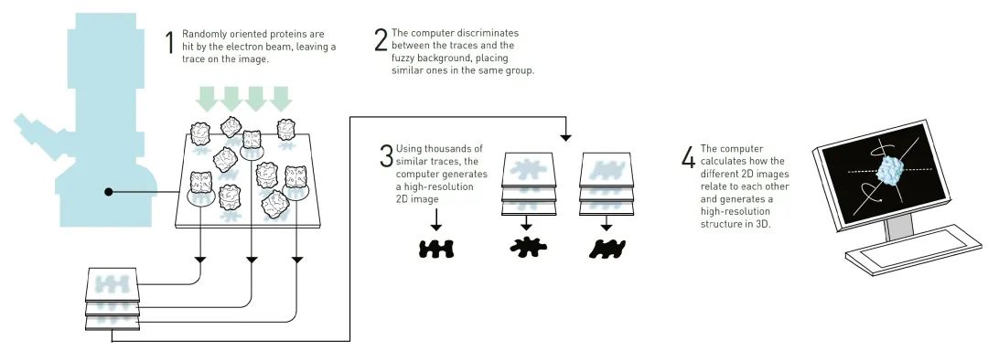 Dr. X | 冷冻电子显微技术 —— 推动新型化药与抗体药发现