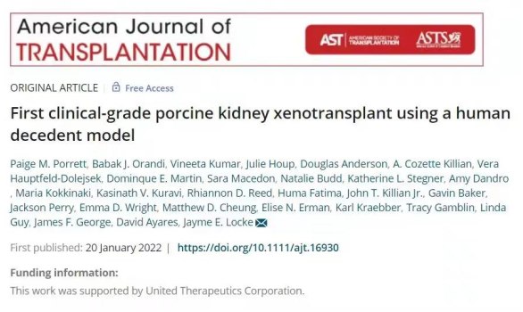 异种移植领域再传捷报，全球首例猪肾脏成功移植给人体