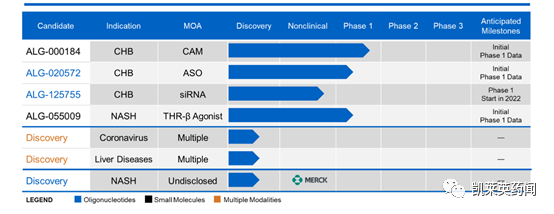 Aligos Therapeutics 扩大与默克公司的合作，为 NASH 开发寡核苷酸疗法