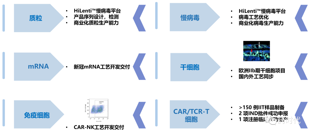 细胞治疗CDMO——CXO的新兴细分赛道，细胞治疗大时代的蓝海