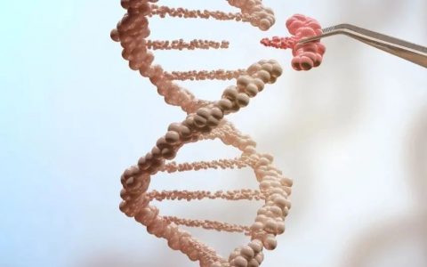 CRISPR/Cas9在阿尔茨海默症中的应用前景