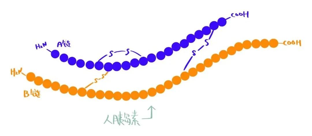 饶毅总结二十世纪中国生命科学八项重要研究