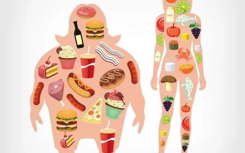 全球首创的“减肥神器”：一天一斤