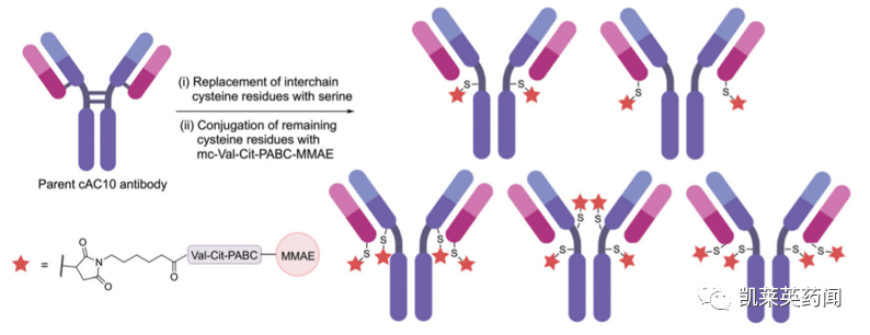 同质化ADC药物制造，选择性位点修饰策略