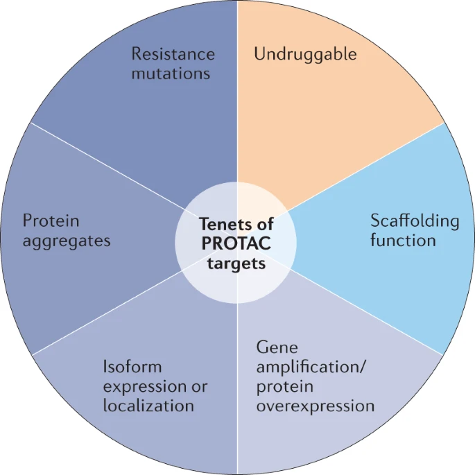 解决“不可成药”和“耐药”，Nature总结PROTAC发展四大趋势！