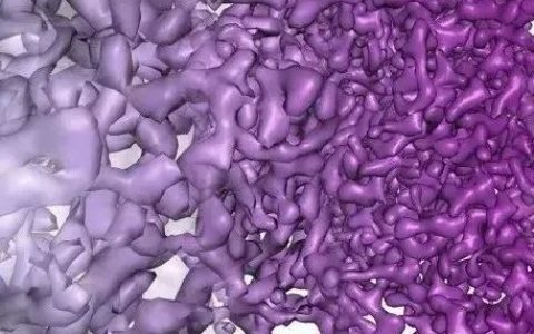Dr. X | 冷冻电子显微技术 —— 推动新型化药与抗体药发现