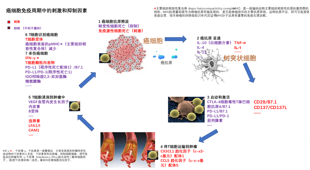 乘风破浪的K药：意外诞生的新时代抗癌药代表