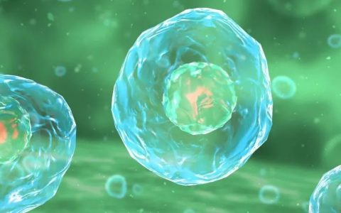 Cell：重大进展！利用改造的病毒样颗粒在体内高效递送基因编辑蛋白到宿主细胞中