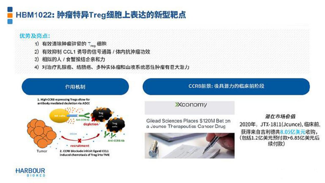 靶向CCR8，正风起云涌时