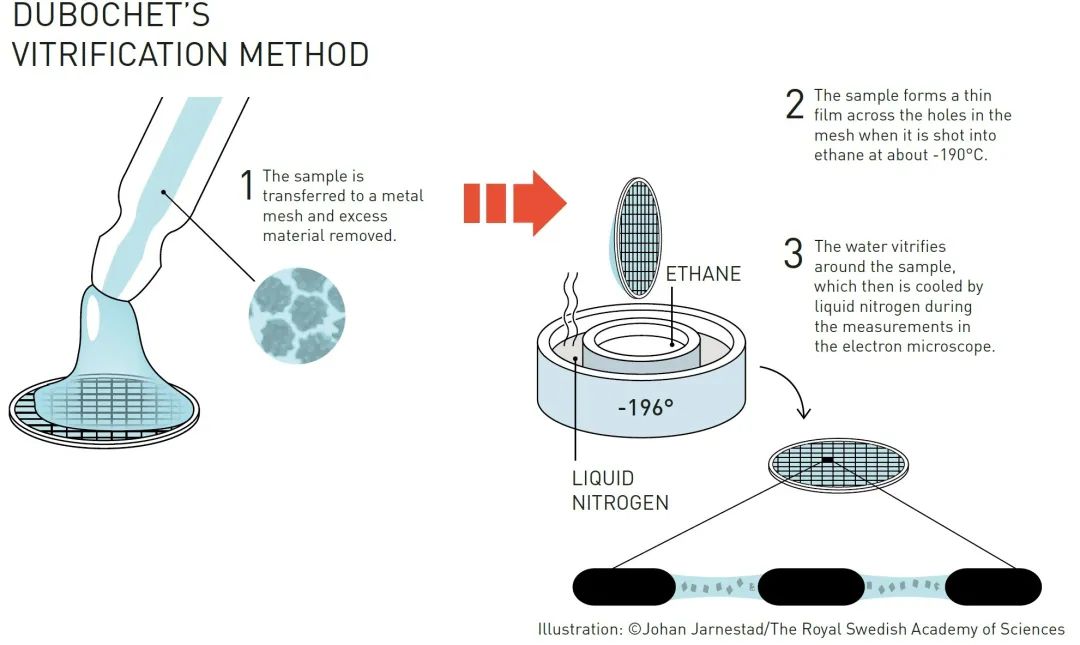 Dr. X | 冷冻电子显微技术 —— 推动新型化药与抗体药发现